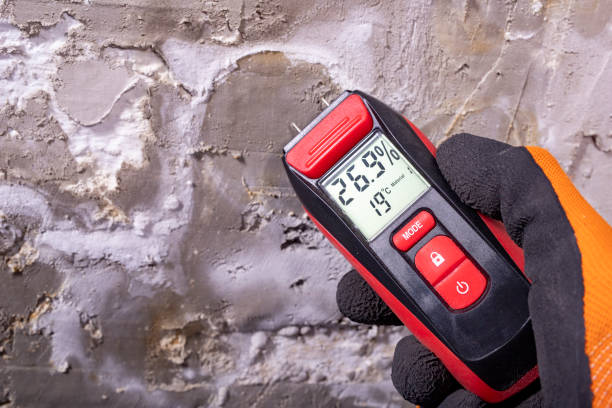 Best Certified Mold Removal  in Abram, TX