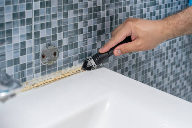 Best Black Mold Removal  in Abram, TX