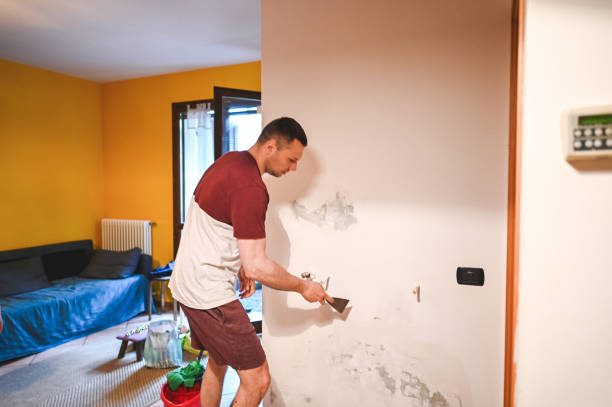 Best Mold Damage Repair  in Abram, TX