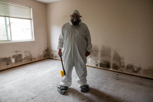 Best Mold Remediation  in Abram, TX